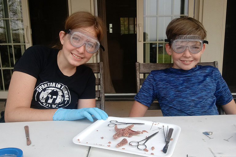 Heritage Peak school kids cutting a starfish for science purposes
